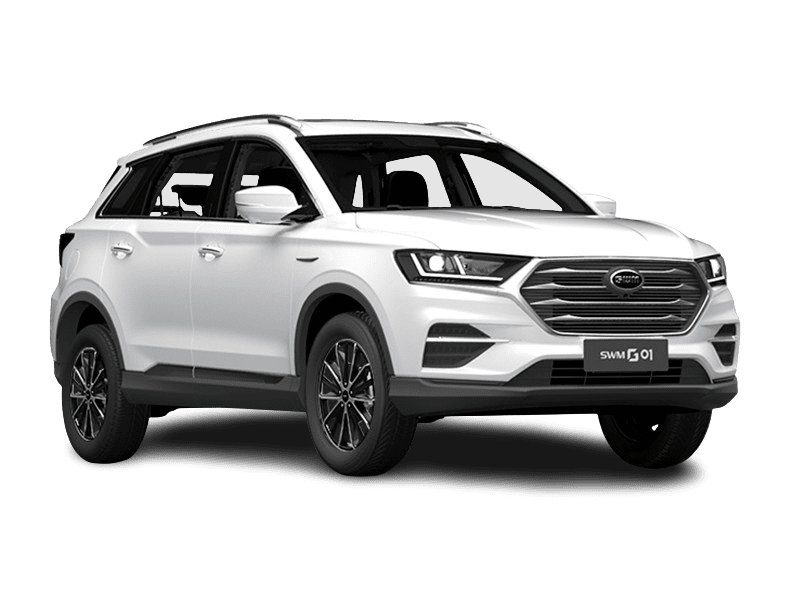 SWM G01 купить по цене от 2 018 600 рублей